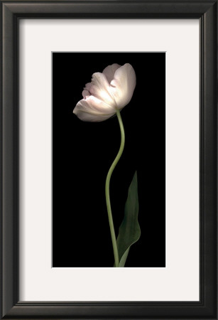 Grace I by S. G. Rose Pricing Limited Edition Print image