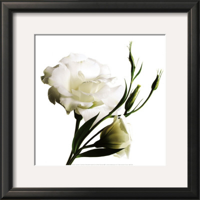 Lisanthe by Cedric Porchez Pricing Limited Edition Print image