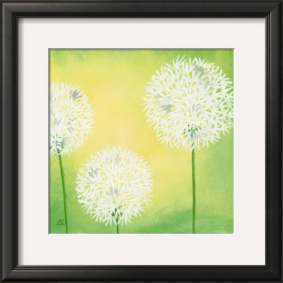 Dandelions Ii by Sabine Mannheims Pricing Limited Edition Print image