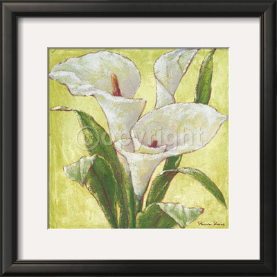 White Sensation by Paula Reed Pricing Limited Edition Print image