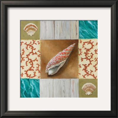 Shell Collage Iv by David Marrocco Pricing Limited Edition Print image