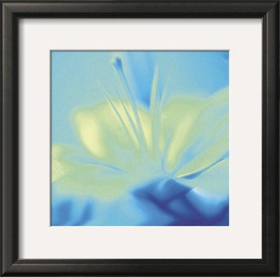 Impression Lily by Jane Ann Butler Pricing Limited Edition Print image