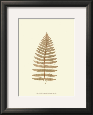 Lowes Fern Iii by Edward Lowe Pricing Limited Edition Print image