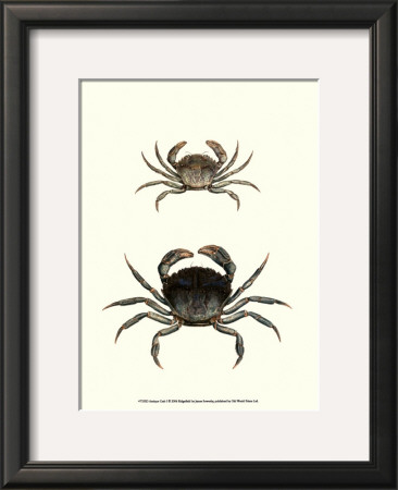 Antique Crab I by James Sowerby Pricing Limited Edition Print image