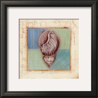 Shell Accents Iii by Celeste Peters Pricing Limited Edition Print image