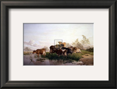 Cows In The Water Meadows by Thomas Sidney Cooper Pricing Limited Edition Print image