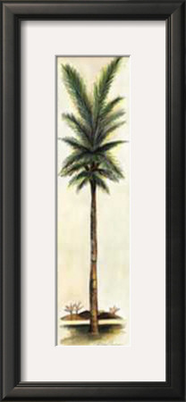 Palm Iii by Alison Jerry Pricing Limited Edition Print image