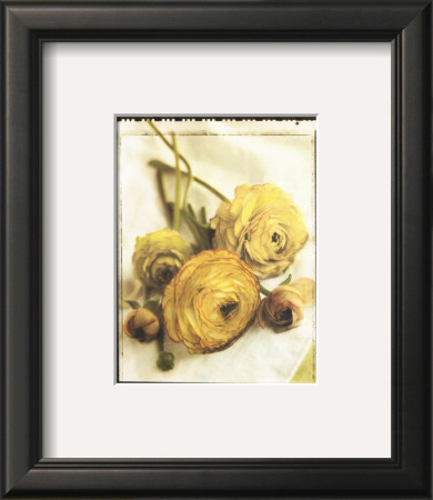 Ranunculus Bouquet by Rosanne Olson Pricing Limited Edition Print image
