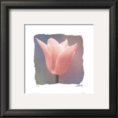 Tulip by Judy Mandolf Pricing Limited Edition Print image