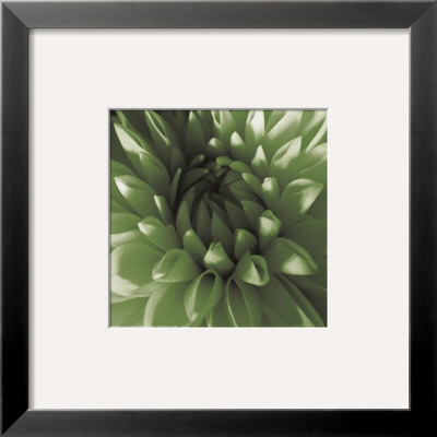 Green Dahlia by Shawn Kapitan Pricing Limited Edition Print image
