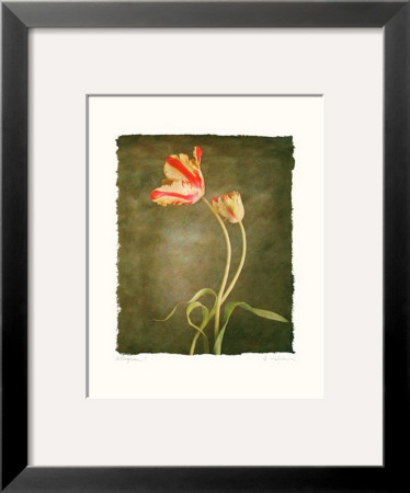 Allegria I by Amy Melious Pricing Limited Edition Print image