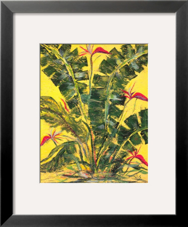 Paradise Fauna & Flora Ii by Talis Jayme Pricing Limited Edition Print image