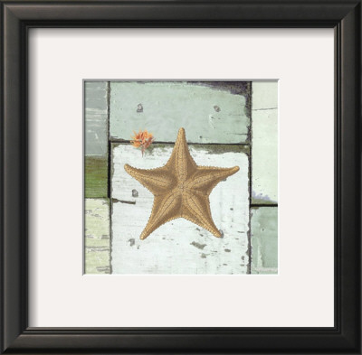 Sea Life V by Tammy Repp Pricing Limited Edition Print image
