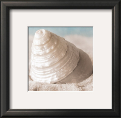 Treasures Of The Sea Iv by Christine E. Pricing Limited Edition Print image