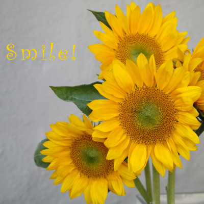 Smile: Sunflower Bouquet by Nicole Katano Pricing Limited Edition Print image