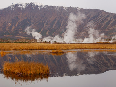 Geysers And Fumeroles Of The Uzon Volcano, Kronotsky Zapovednik Reserve, Kamchatka, Russia by Igor Shpilenok Pricing Limited Edition Print image