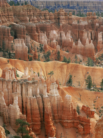 Hoodoo Sandstone Structures, Bryce Canyon National Park, Utah, Usa by Pete Cairns Pricing Limited Edition Print image