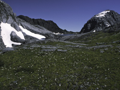 Blooming Grassland Surrounded By Mountains, Chile by Pablo Sandor Pricing Limited Edition Print image