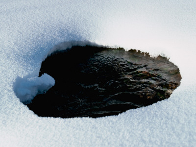 A Creek Seen Through A Whole In The Snow, Colorado by Michael Brown Pricing Limited Edition Print image