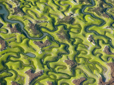 Saltmarsh At Low Tide Near Cadiz, Spain, February 2008 by Niall Benvie Pricing Limited Edition Print image