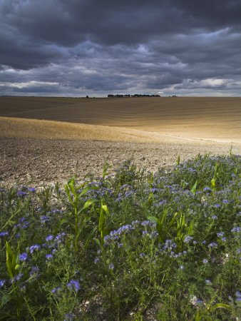 Stormy Afternoon Above A Recently Harvested Field Near Winchester, South Downs, Hampshire, England by Adam Burton Pricing Limited Edition Print image