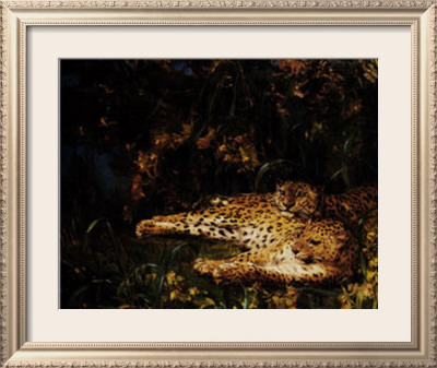 Indian Leopards by John M. Swan Pricing Limited Edition Print image