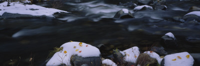 Stream Running Through The Forest, American River, El Dorado National Forest, California, Usa by Panoramic Images Pricing Limited Edition Print image