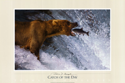 Catch Of The Day by Thomas D. Mangelsen Pricing Limited Edition Print image