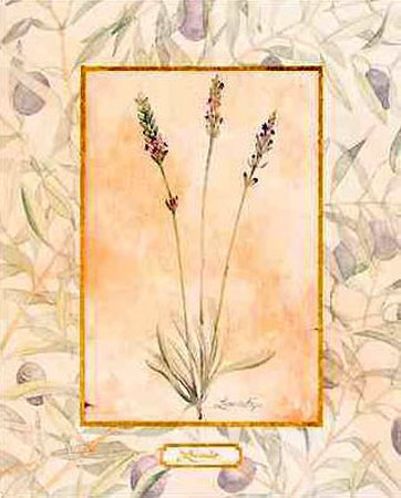 Lavender by Lucinda Foy Pricing Limited Edition Print image