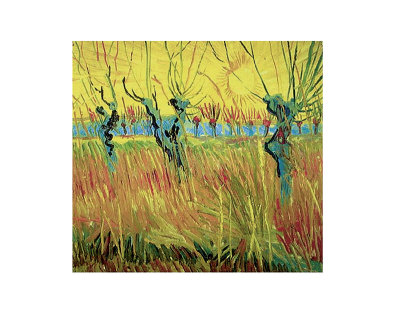 Pollarded Willow And Sunset by Vincent Van Gogh Pricing Limited Edition Print image