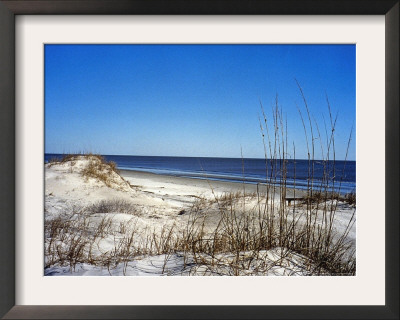 Pristine Dunes On Jekyll Island, Georgia by Giovanna Dell'orto Pricing Limited Edition Print image