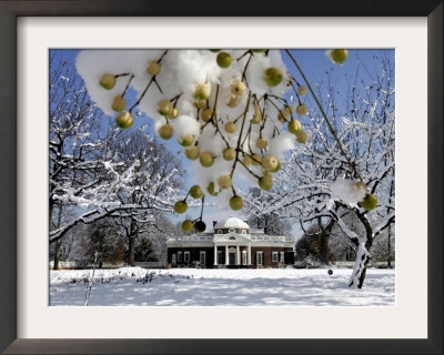South Lawn Of Thomas Jefferson's Home Monticello by Steve Helber Pricing Limited Edition Print image