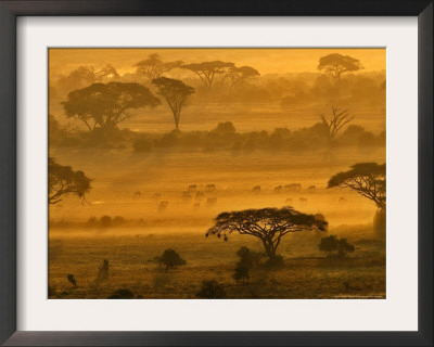 Herbivores At Sunrise, Amboseli Wildlife Reserve, Kenya by Vadim Ghirda Pricing Limited Edition Print image