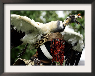 A Colombian Performer Representing Slaves Rides A Horse by Fernando Vergara Pricing Limited Edition Print image