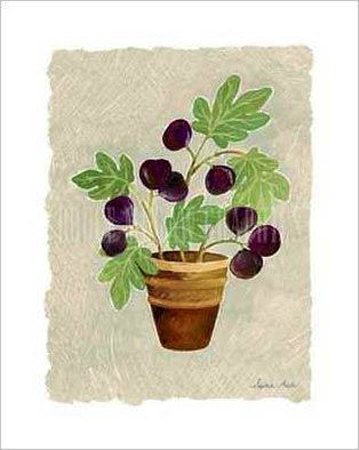 Fig Tree by Sophie Adde Pricing Limited Edition Print image