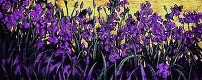 Iris by Michael Palmer Pricing Limited Edition Print image