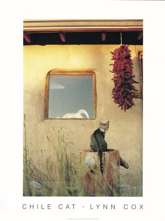 Chili Cat by Lynn Cox Pricing Limited Edition Print image