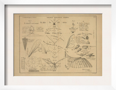 21 Figures About Aeronautics: Mechanics Of Insect Flight And More by Ferdinand Tollin Pricing Limited Edition Print image