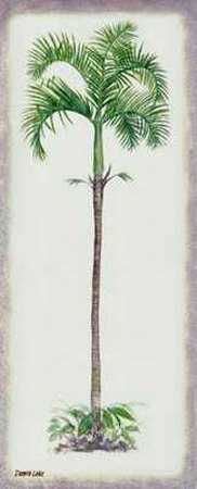 Palm Tree Ii by Debra Lake Pricing Limited Edition Print image