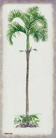 Palm Tree Ii by Debra Lake Pricing Limited Edition Print image