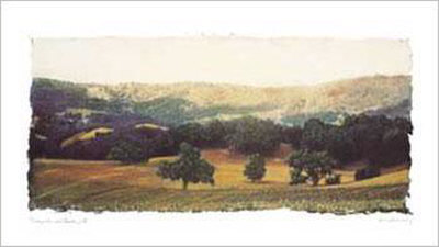 Vineyard And Oak Ii by Amy Melious Pricing Limited Edition Print image