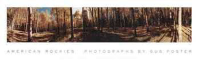 Aspens, New Mexico by Gus Foster Pricing Limited Edition Print image