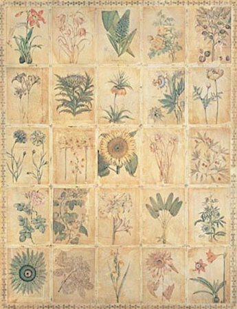 Botanical Extravagance by Elizabeth Jardine Pricing Limited Edition Print image