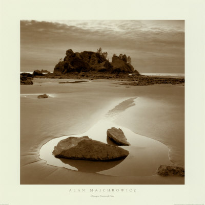 Shi-Shi Beach, Olympic National Park by Alan Majchrowicz Pricing Limited Edition Print image