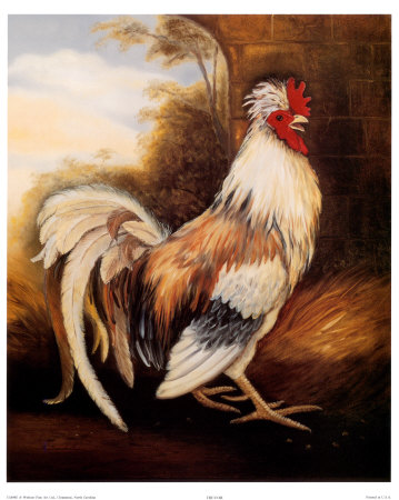 Roosters, Trevor by Alexandra Churchill Pricing Limited Edition Print image