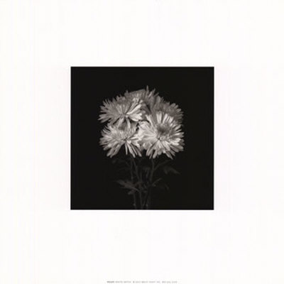 Flower Series Ix by Walter Gritsik Pricing Limited Edition Print image