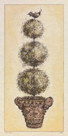 Herbal Pompom by Constance Lael Pricing Limited Edition Print image
