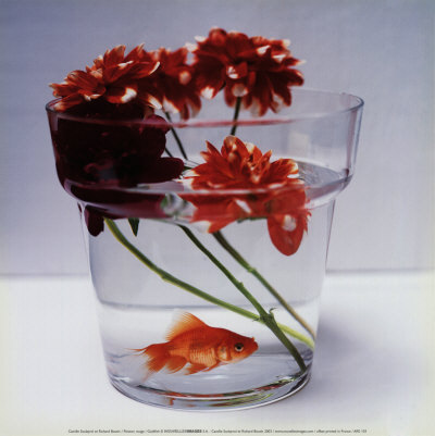 Goldfish by Camille Soulayrol Pricing Limited Edition Print image