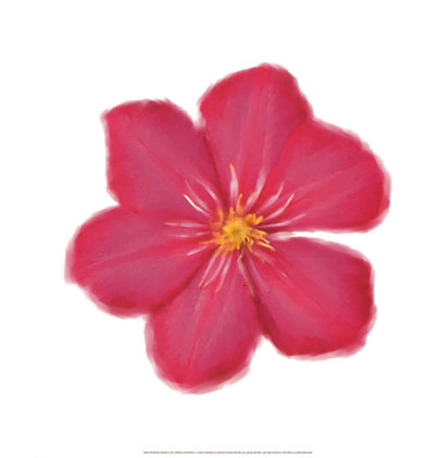 Petales Roses Ii by Tasmin Phoeni Pricing Limited Edition Print image