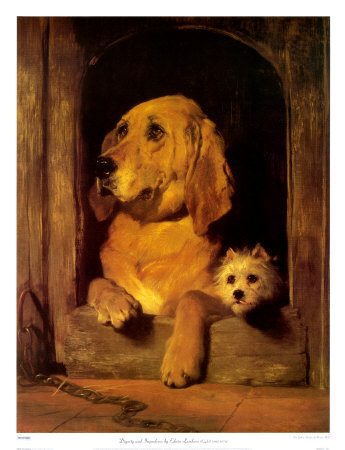 Dignity And Impudence by Edwin Henry Landseer Pricing Limited Edition Print image